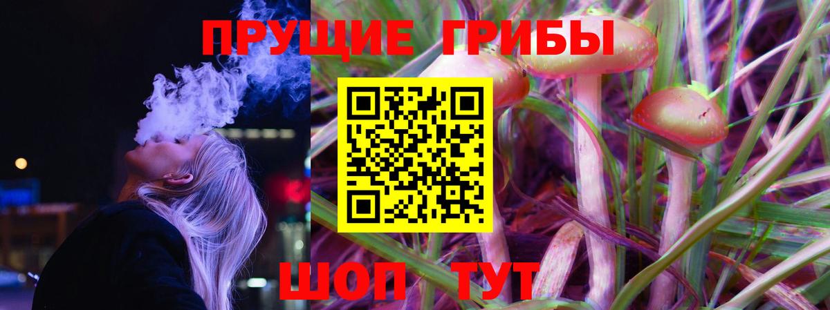 Азнакаево  Псилоцибиновые грибы мицелий  Вход с VPN  где найти   Галлюциногенные грибы мицелий 